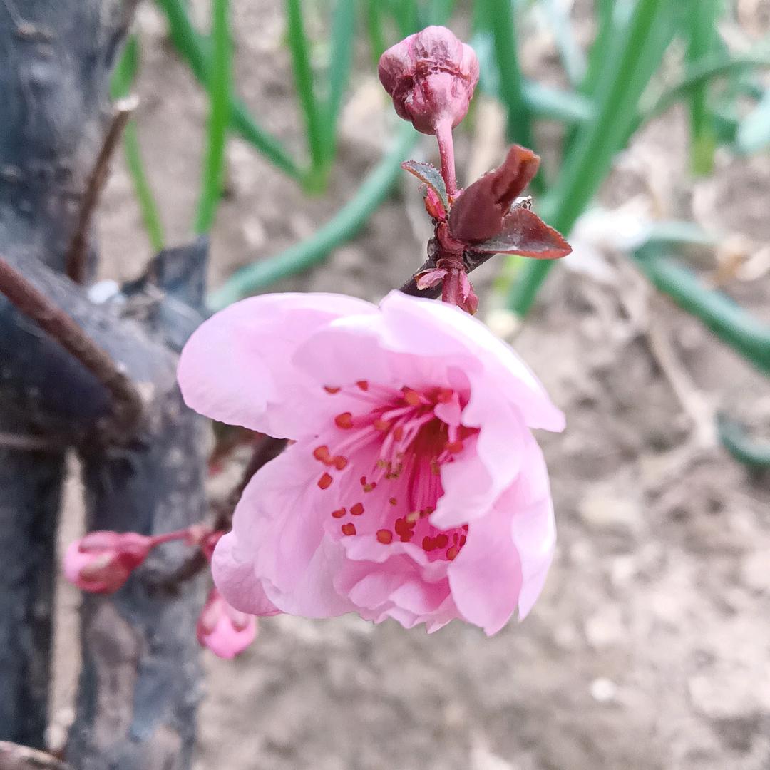 小煜