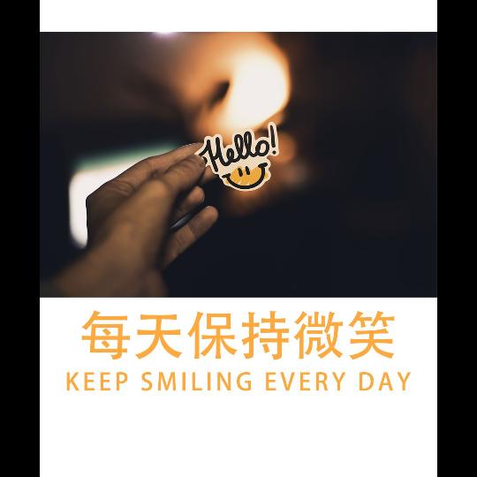 二八