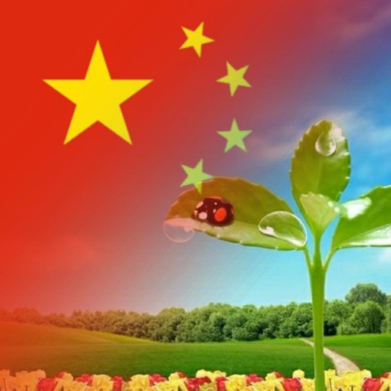 宁静致远