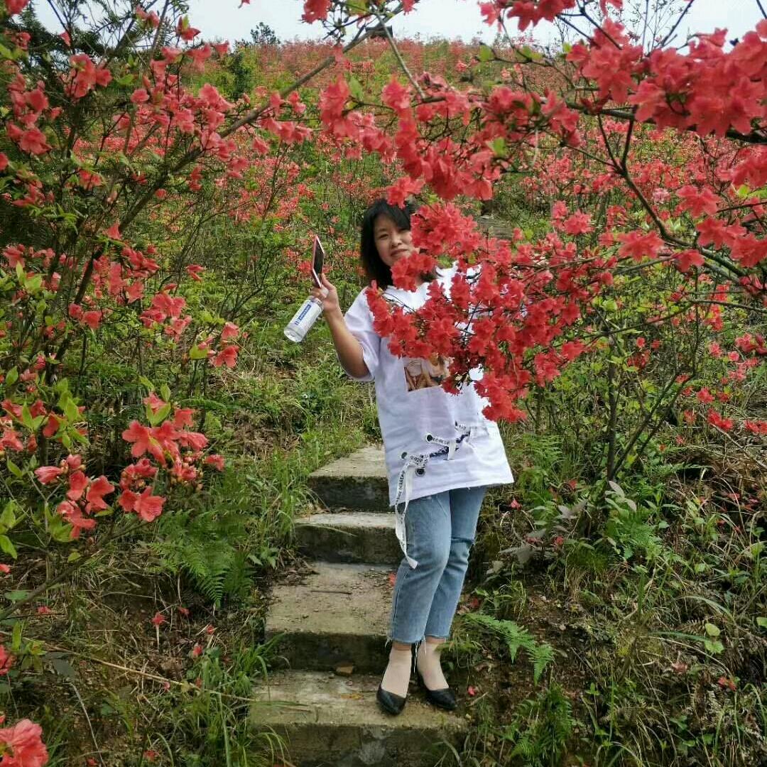 💍💍起……点💍💍