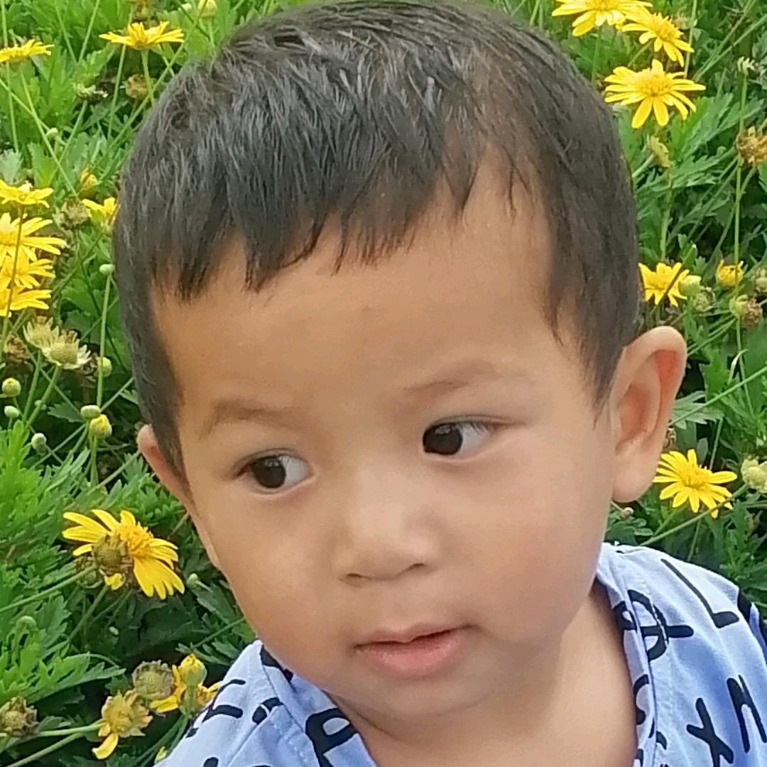 庆