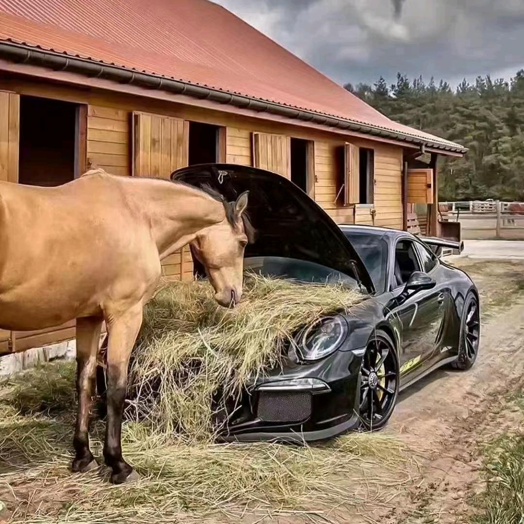 南阳市盛航商贸二手车