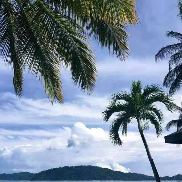 罗罗大方