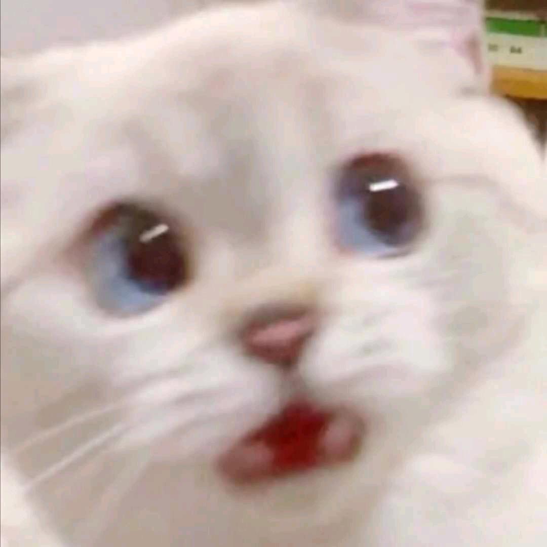 这缕风唤昨晚安