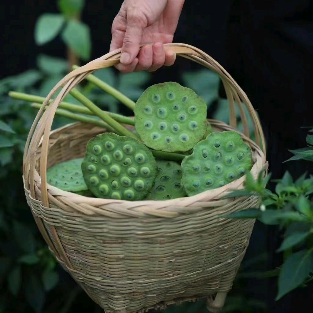 世间有因果，凡事有轮回