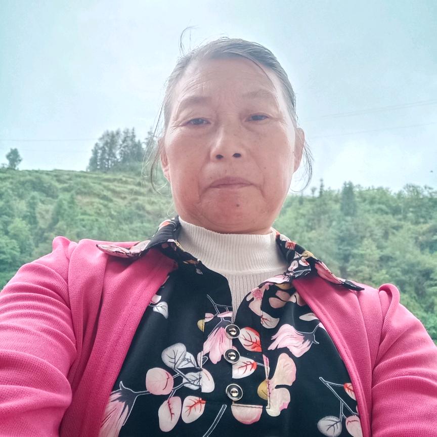 郑氏家族