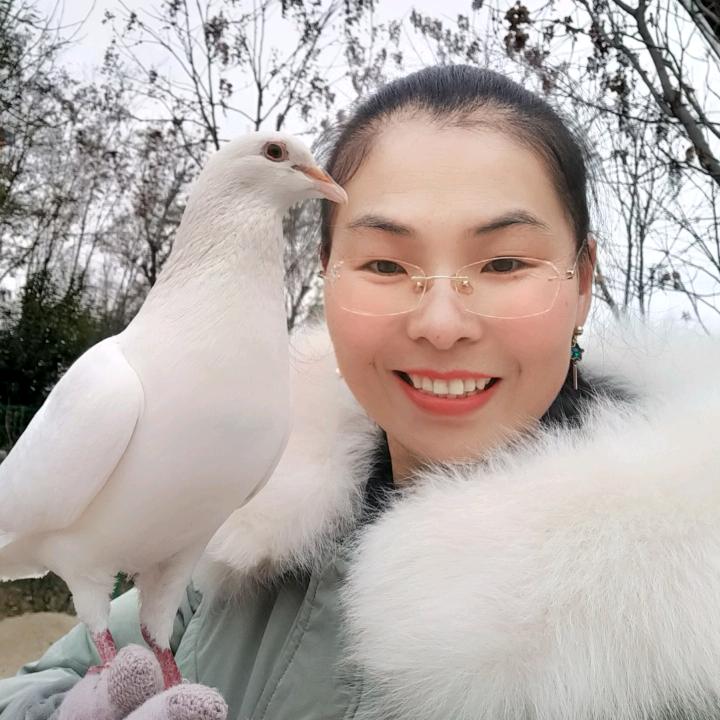🕊꧔ꦿ᭄💞武所谓好好薛习꧔ꦿ࿐้
