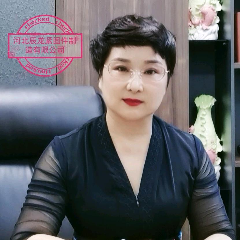 河北辰龙紧固件制造有限公司