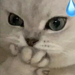 🐲小玲儿⁸²⁵💞