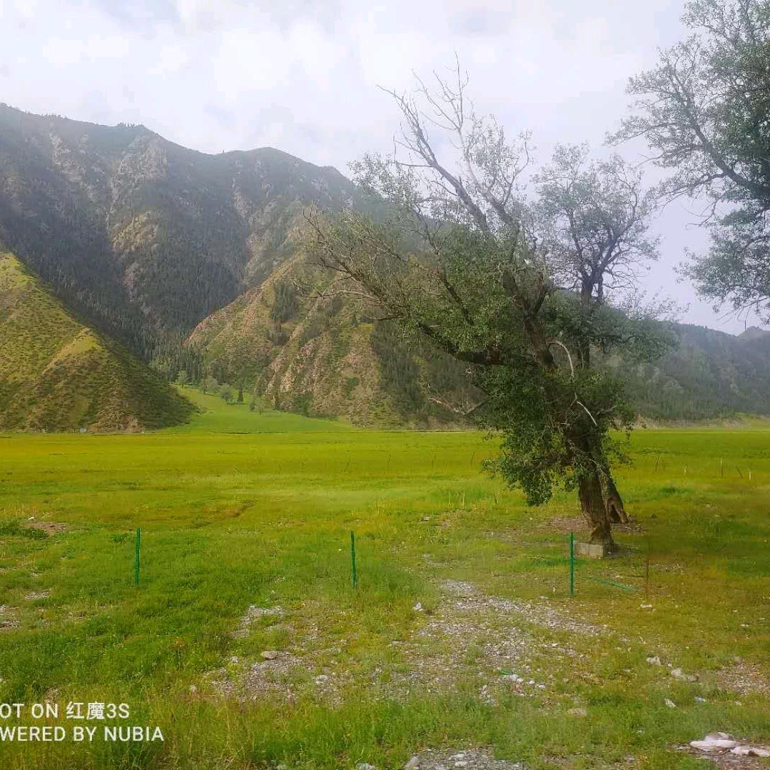 🦋ꦿ໊红糖᭄🕊马奇朵᭄ꦿᩚ٭