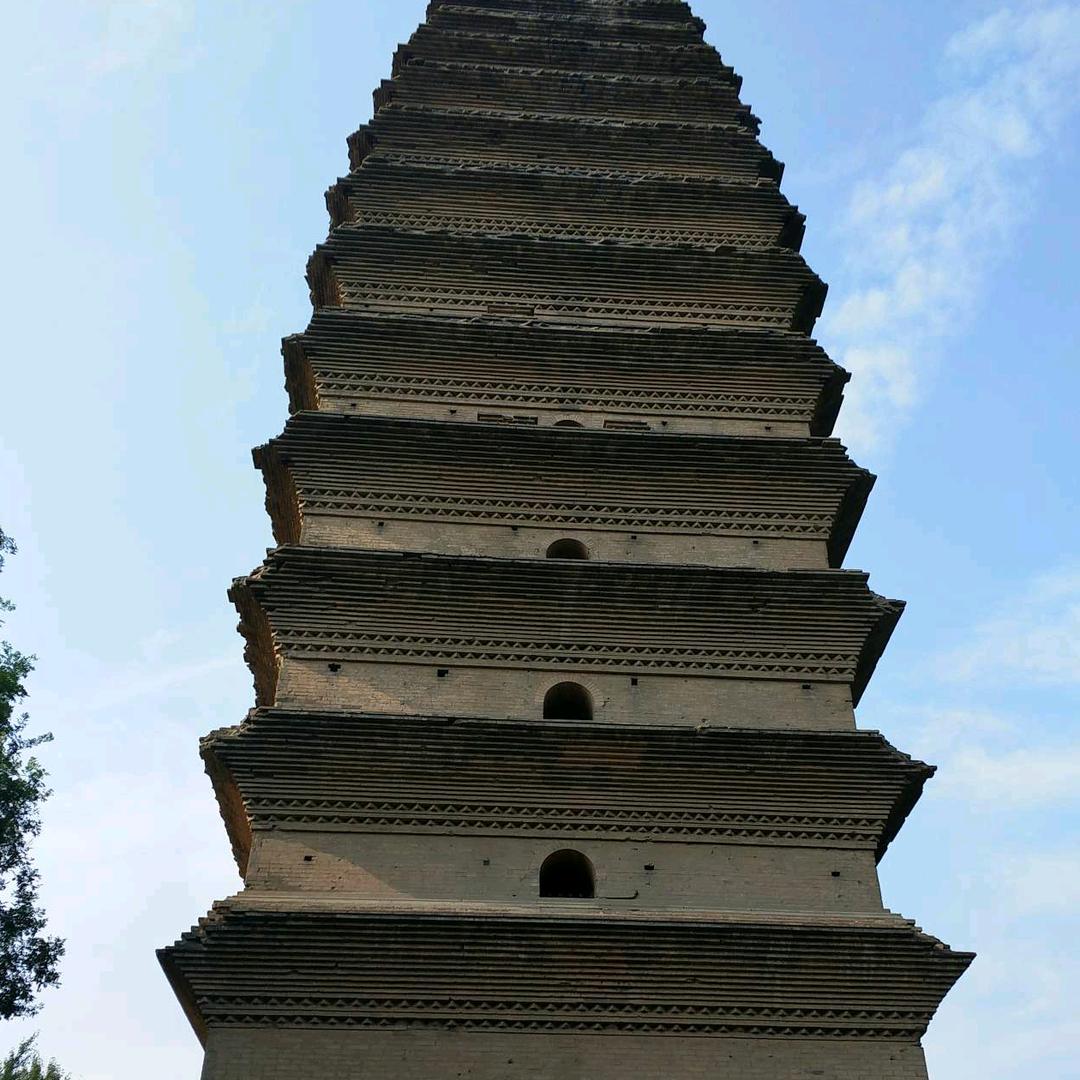 w司七