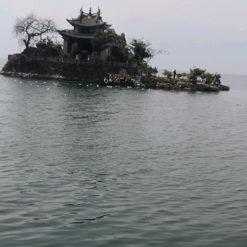 黄云哥4421545320379