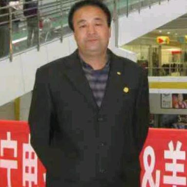靳九条
