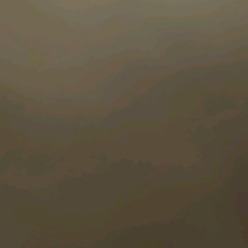 大樂