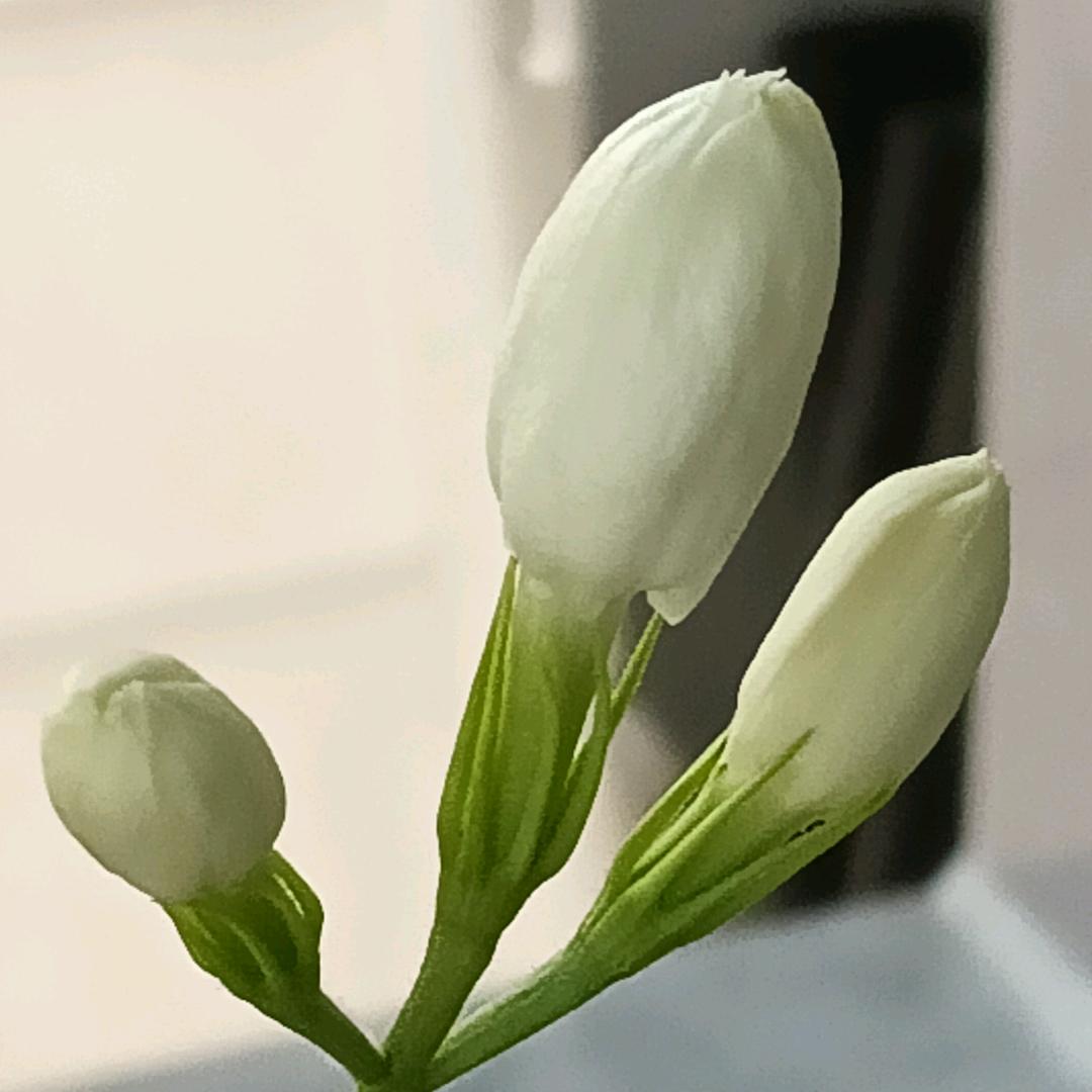 有你真好🙂🙂