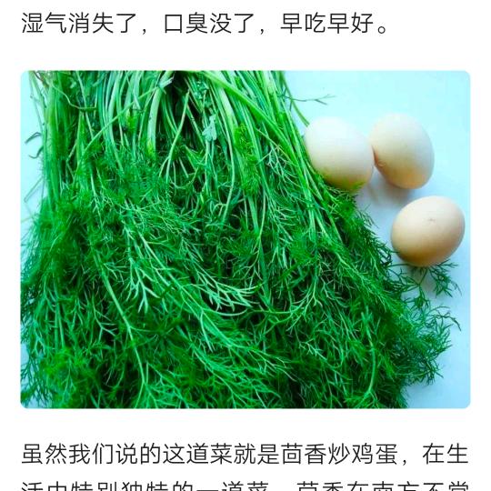 秋雨萌萌