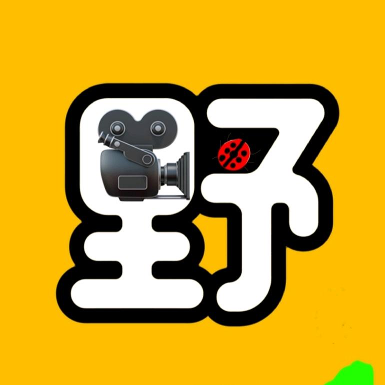 野生解东西