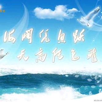 -海鸥