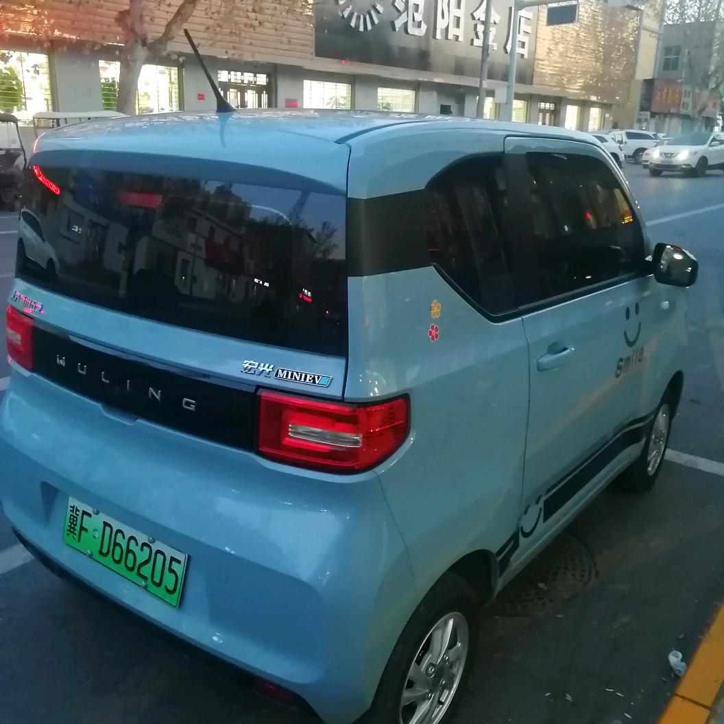天山雪莲