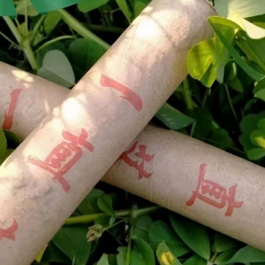 代家场一直艾妙可养生堂