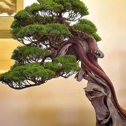 平安一生