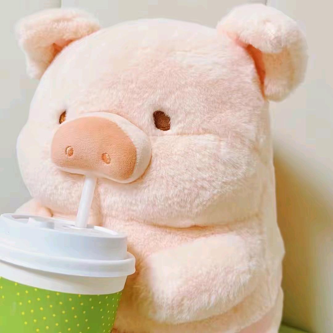 樱宝要发发