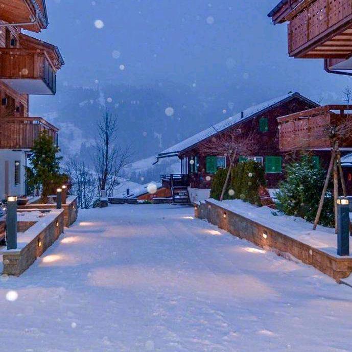雪上加霜