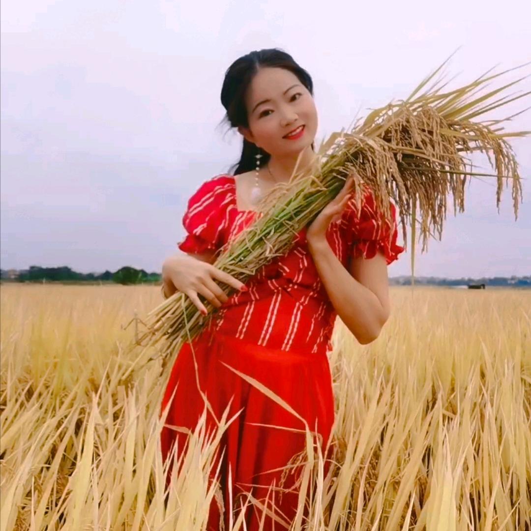 静心