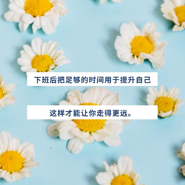 腹有诗书气自华.