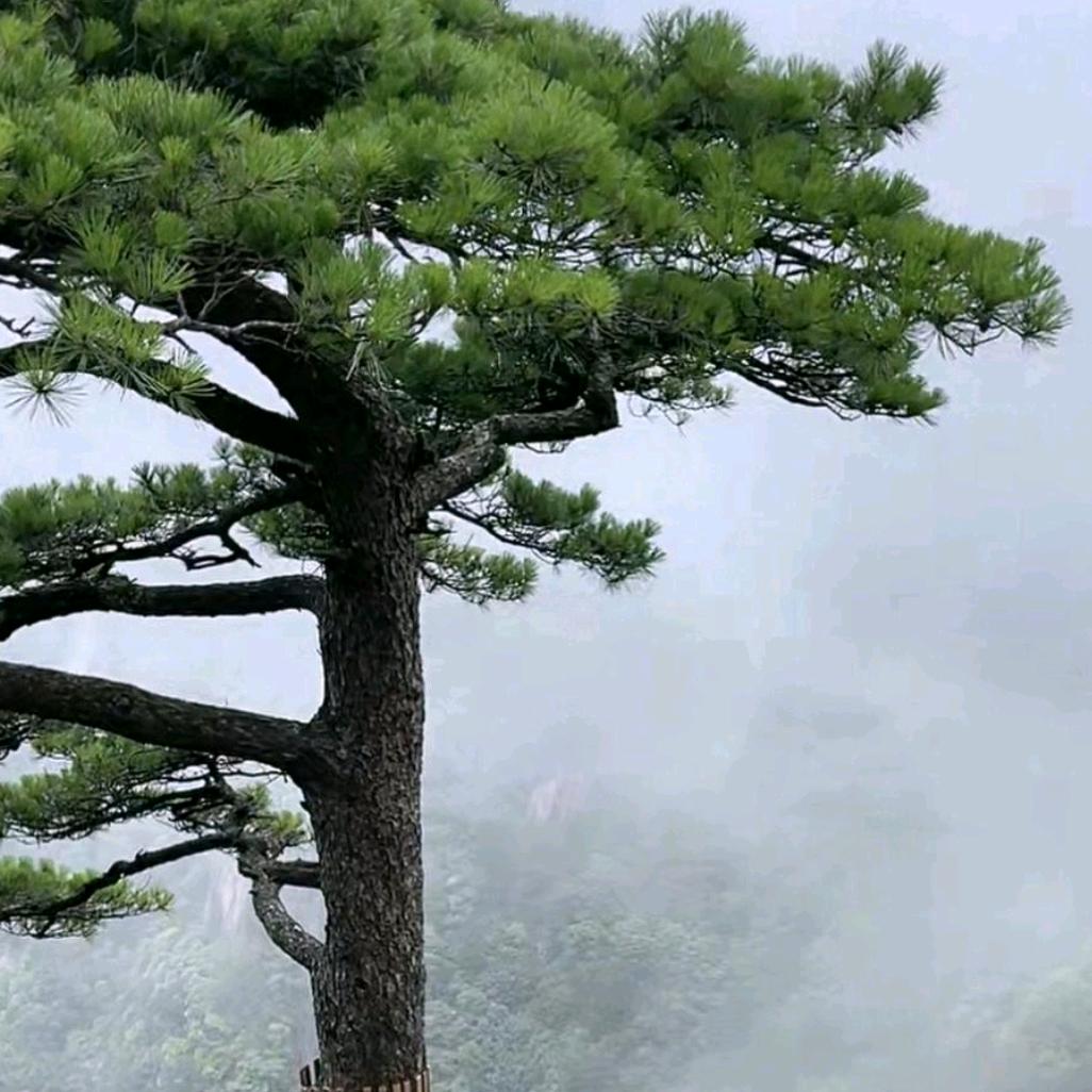 和风细雨
