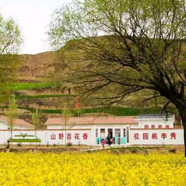 山里娃赵先生