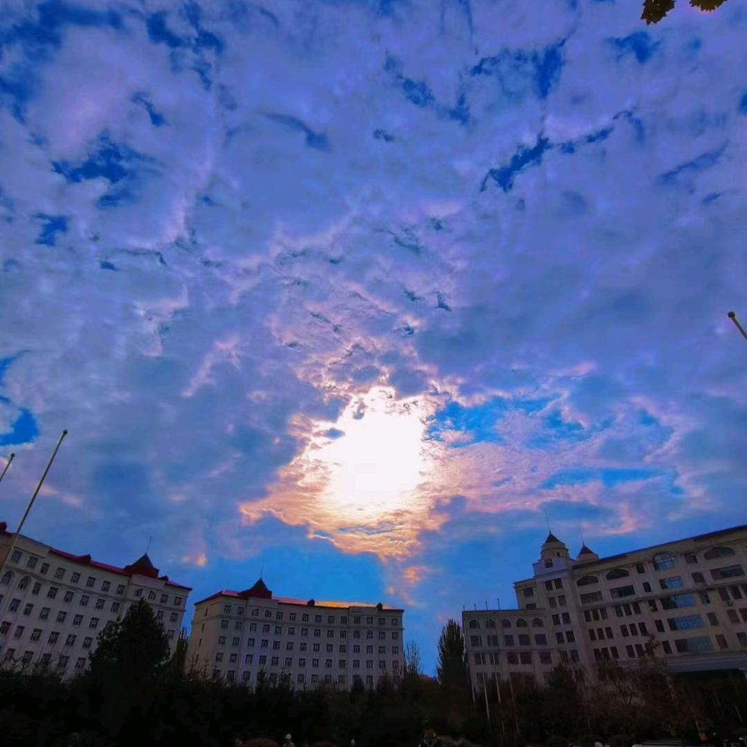 反狗美反狗以先锋