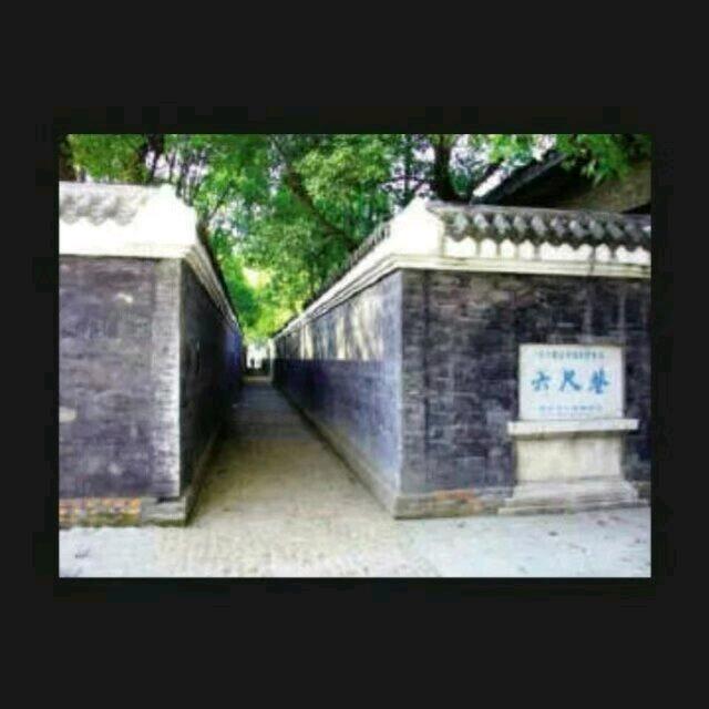 弯腰树油厂农家菜籽油6548888