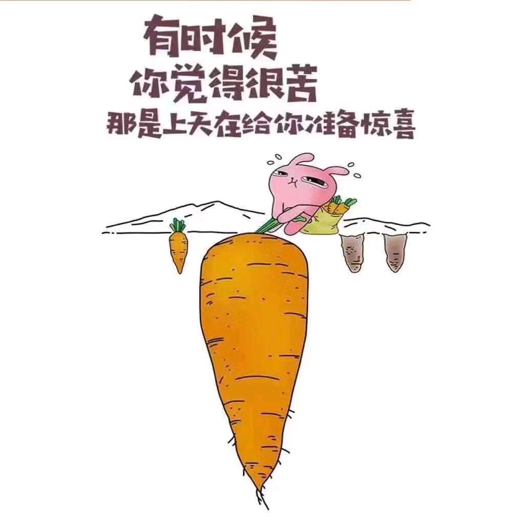 金宝大人