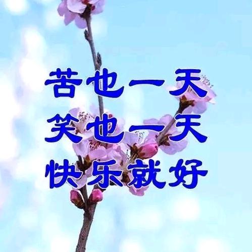 桥边缘人