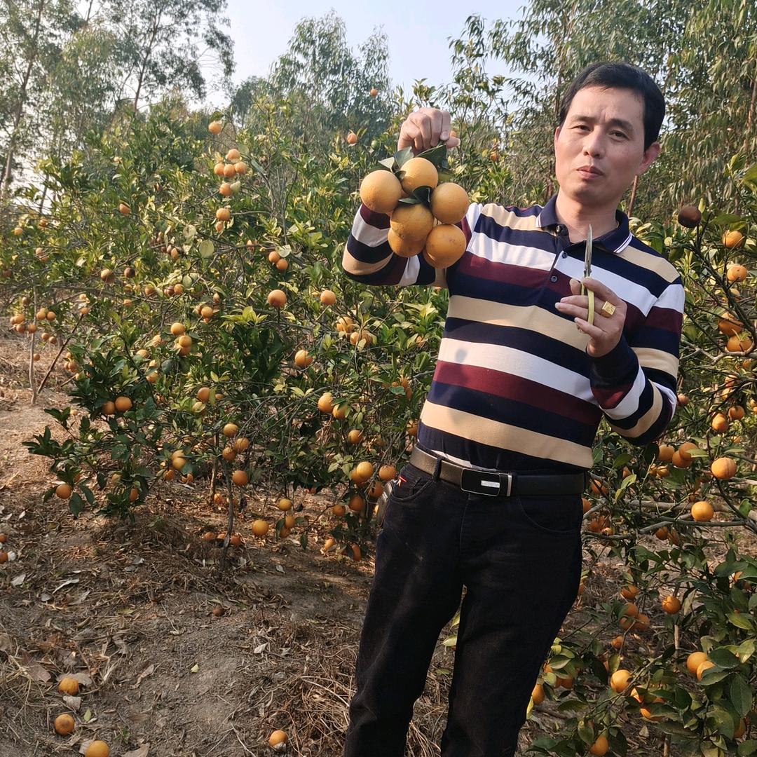 廉江果行主要代销各种应季水果