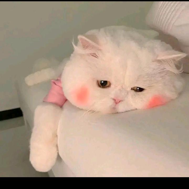 🧊
