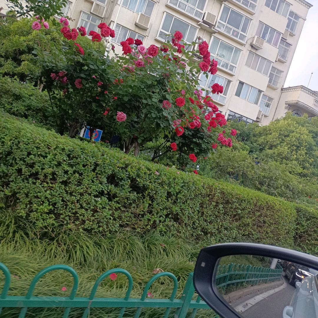 晴天