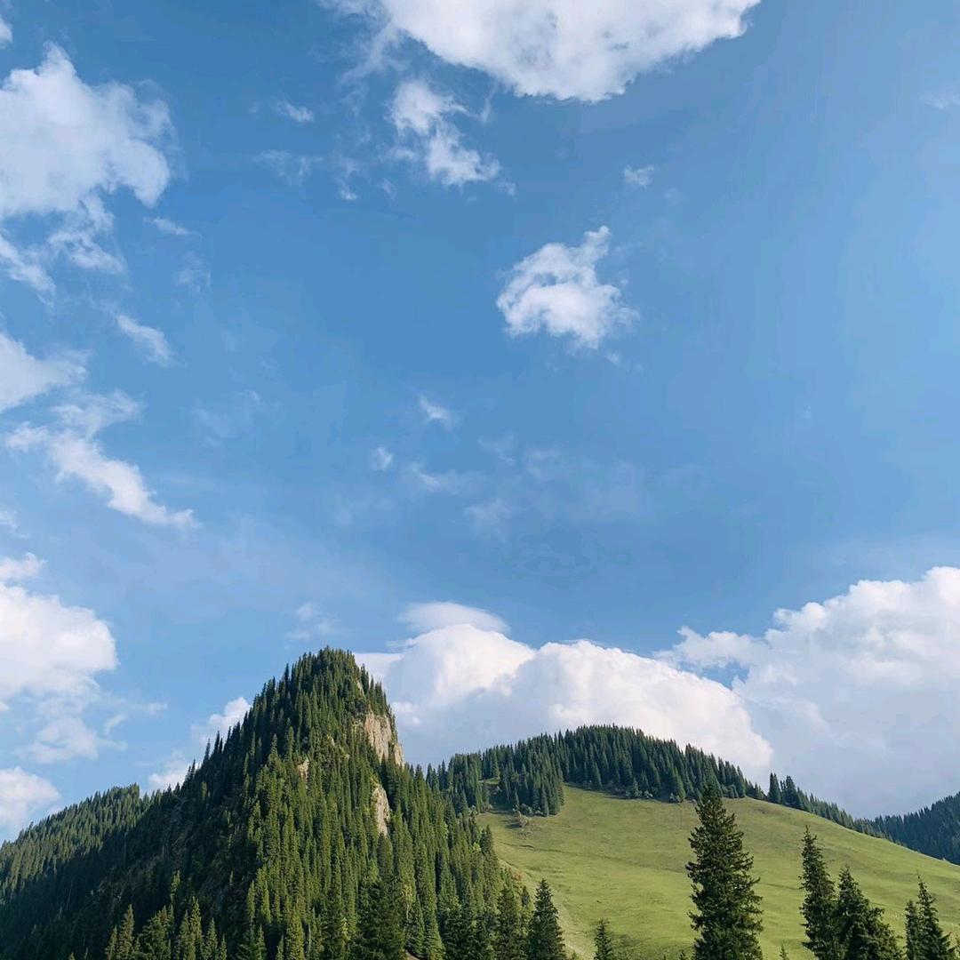 高山流云