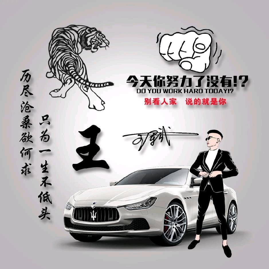 养猪执行官