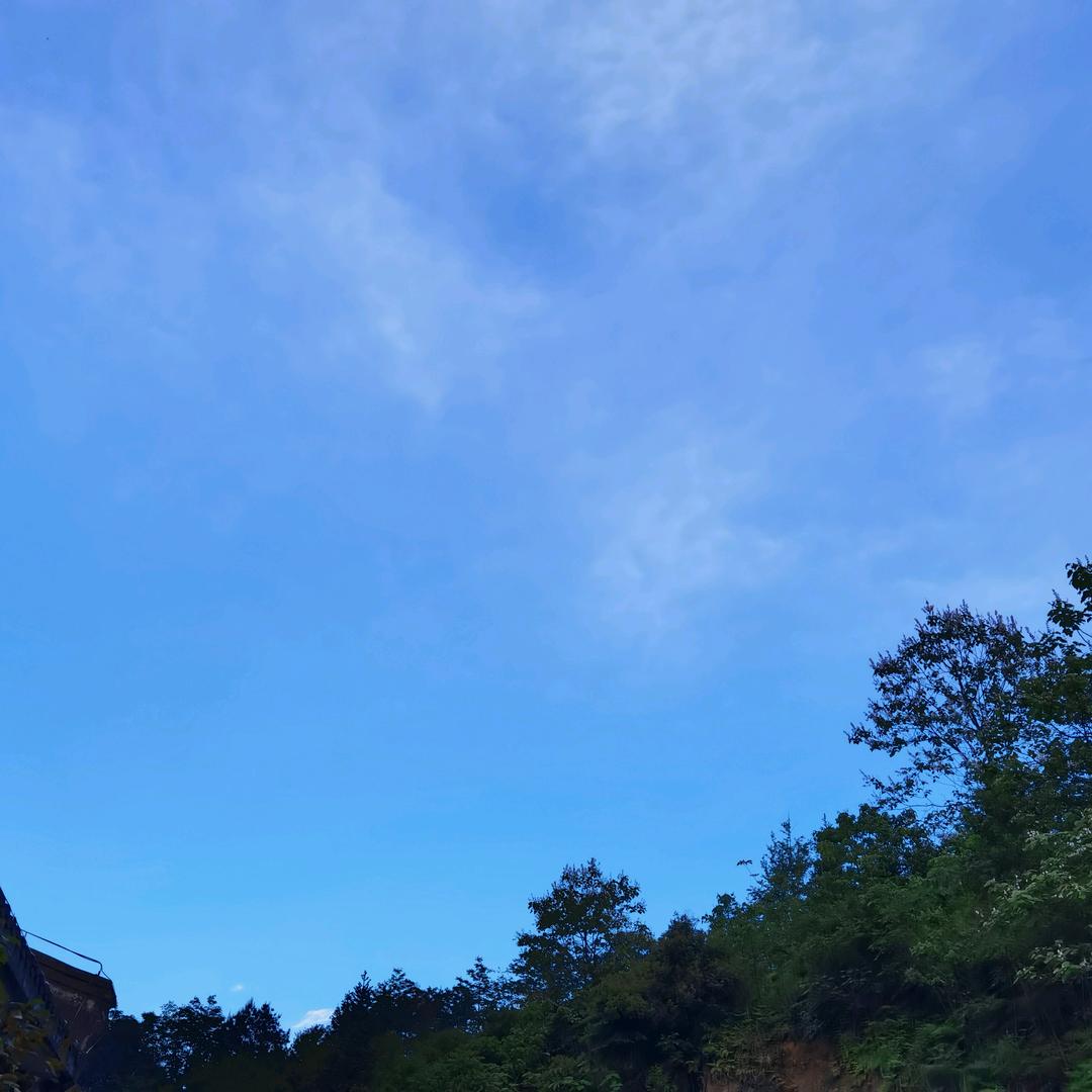 黄开琴  佳惠超市(杉王店)