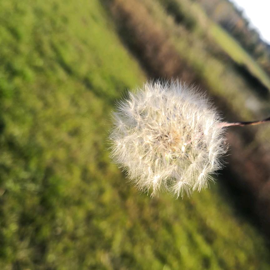 🌈🌈D大睿🌈🌈