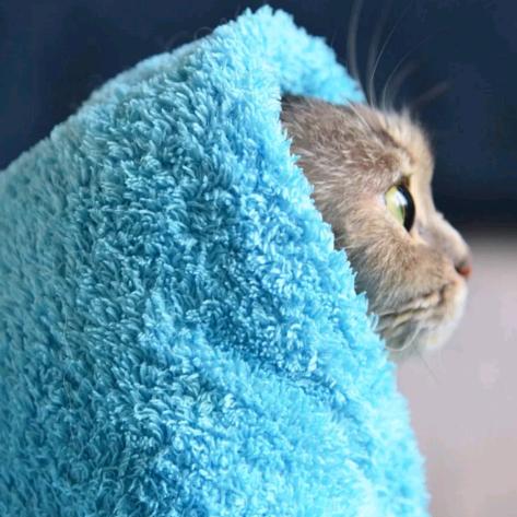 用脚步丈量世界