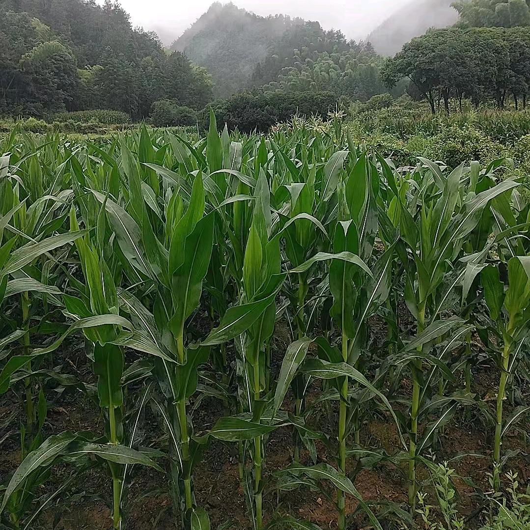 仙姐带你听故事