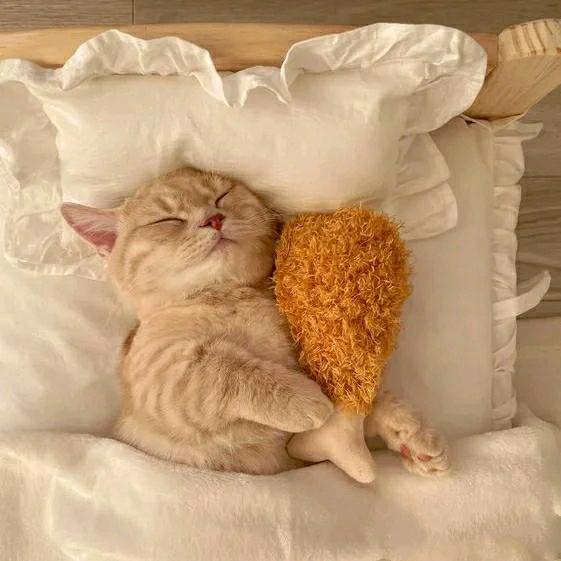 逞情睡眠(收徒)