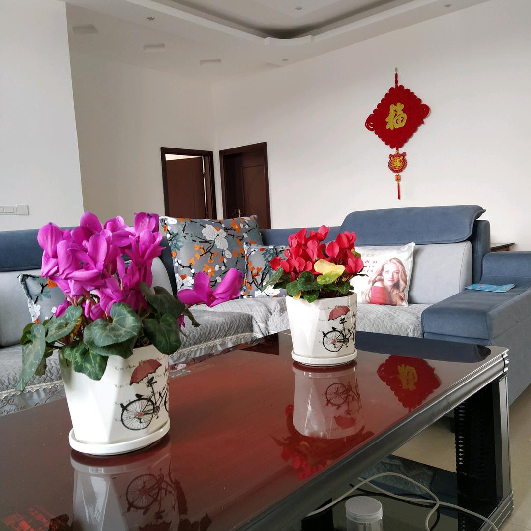 顺仙
