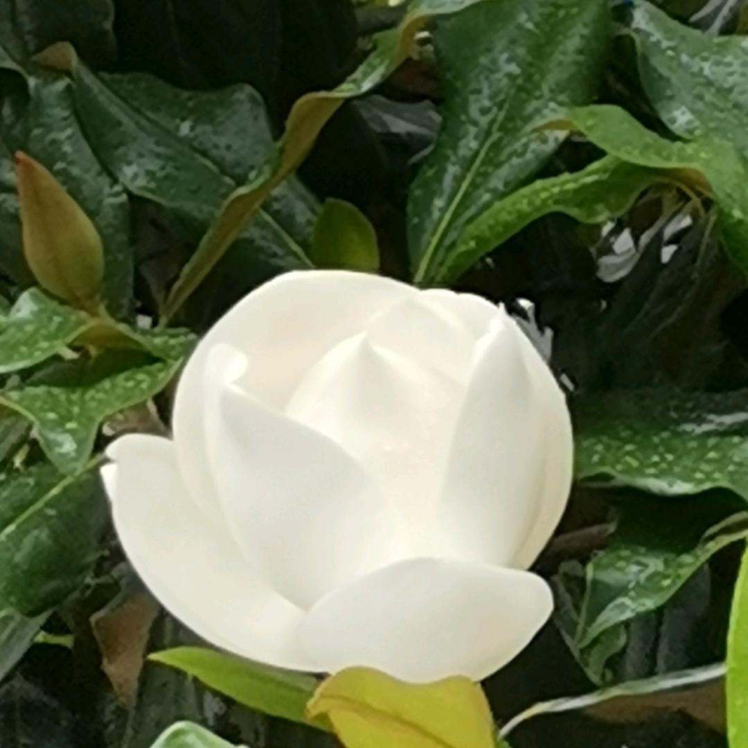 小尘