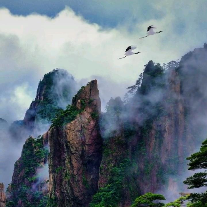 龍玖