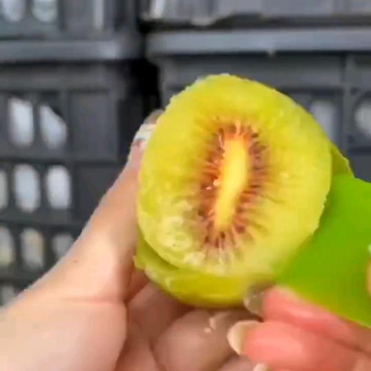 红心猕猴桃飞姐