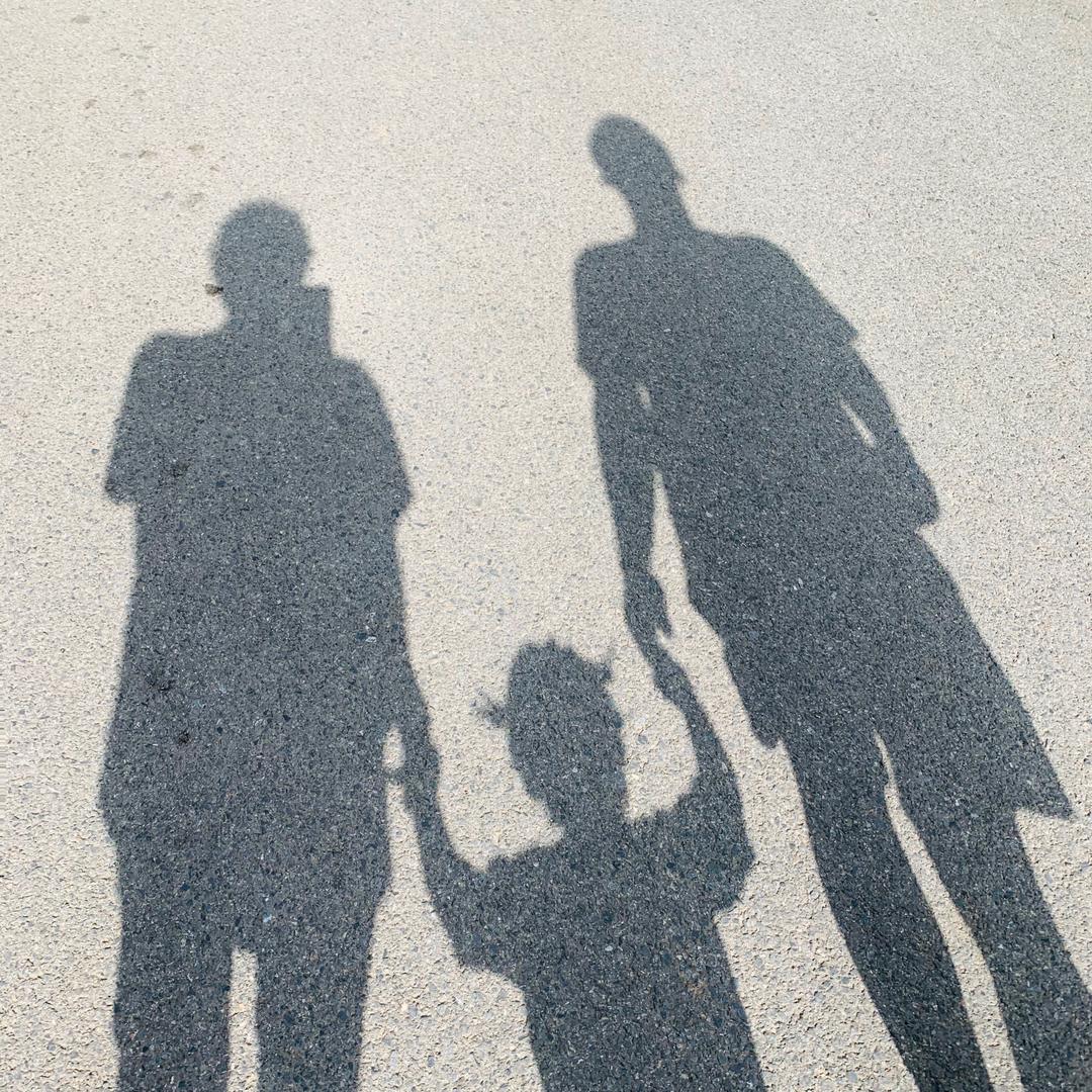 🌈金龙不是鱼🌈